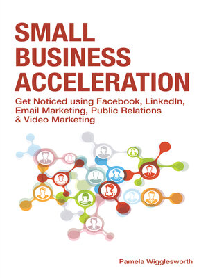 cover image of Small Business Acceleration: Get Noticed using Facebook, LinkedIn, Email Marketing, Public Relations & Video Marketing